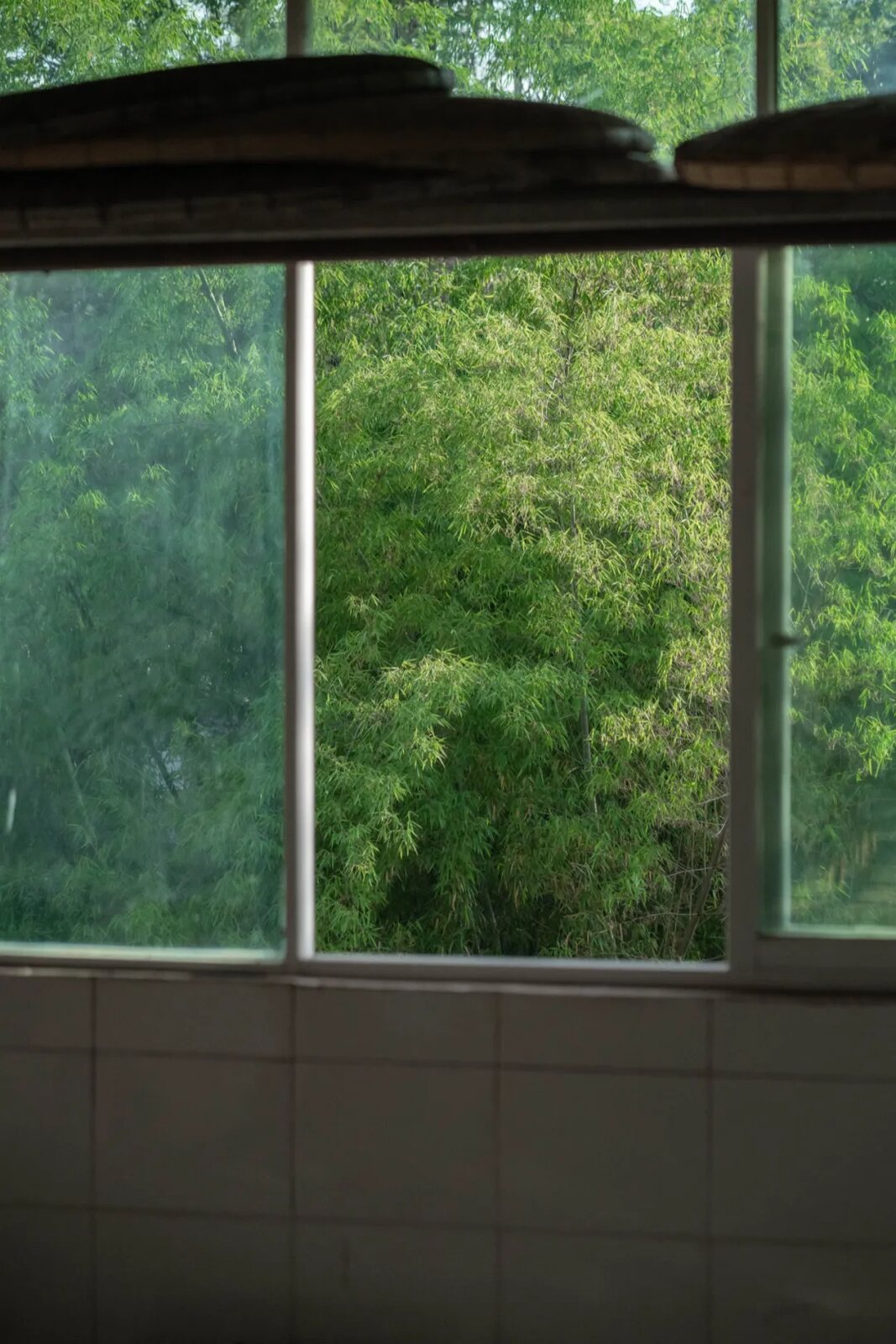Rain and bamboo seen through a studio window