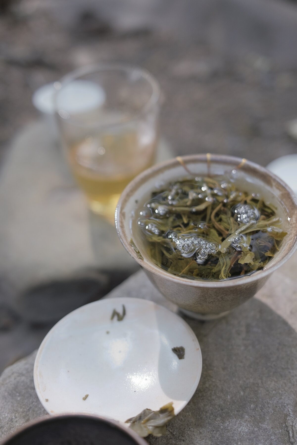 Fresh tea leaves opening in a glass on the table