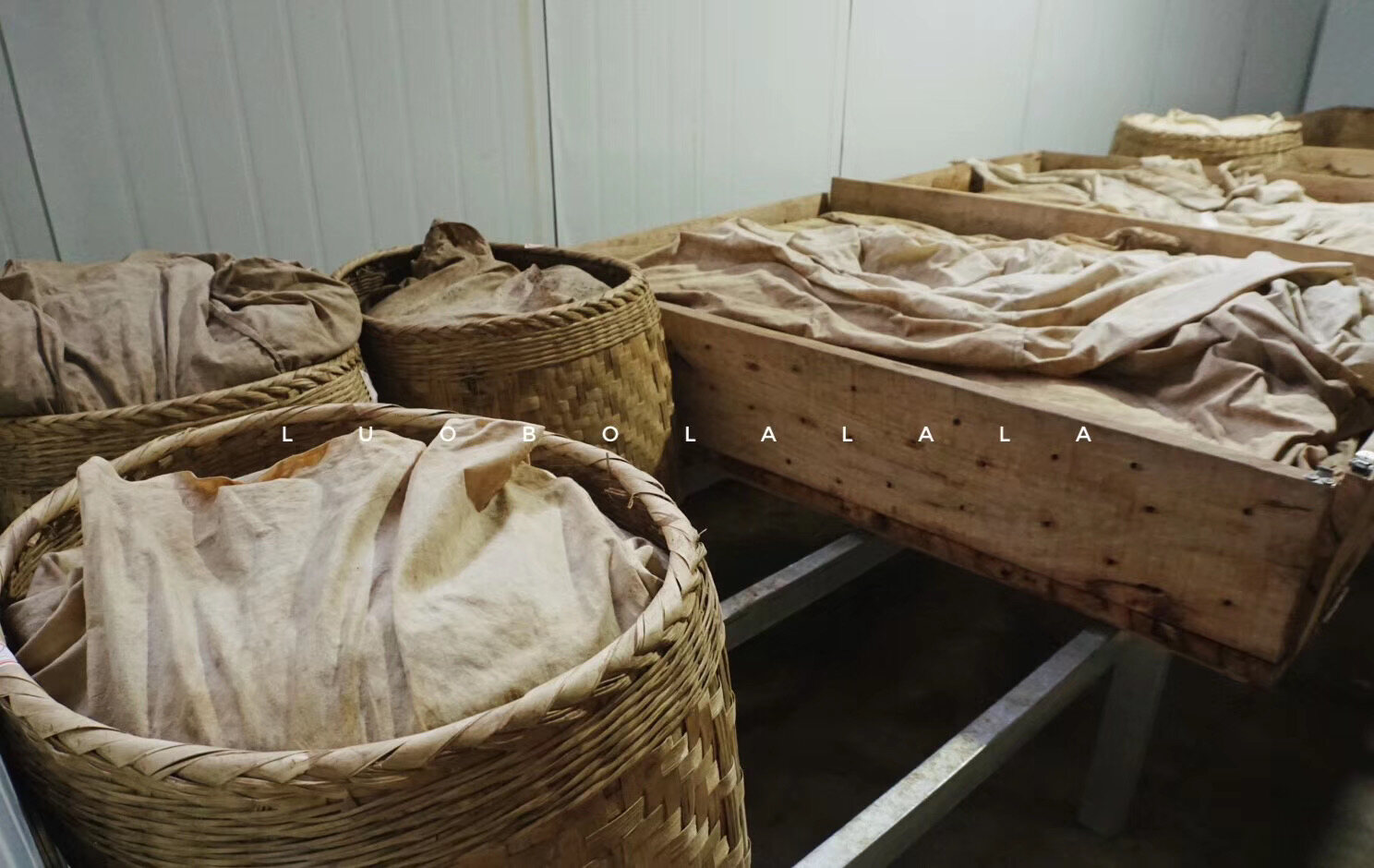 Cloth-covered tea resting in woven baskets at the workshop
