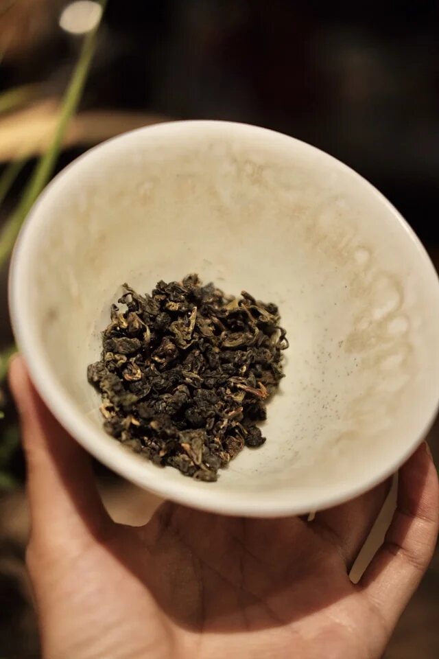 Wuliang Mountain oolong being poured at the Changshou tea table