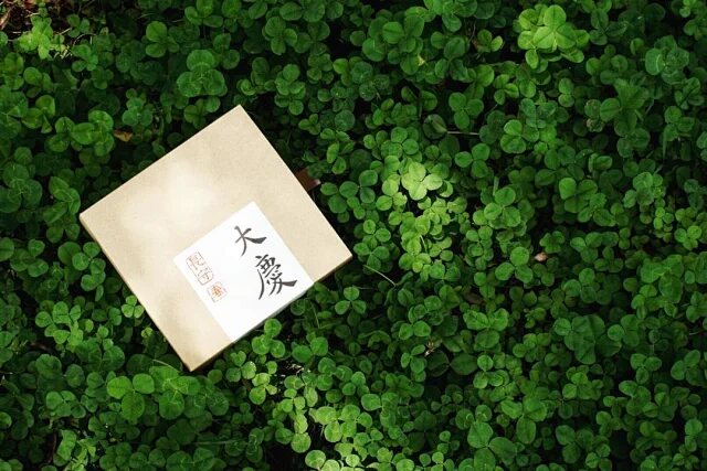 Daqing · Ancient-Tree Raw Pu’er