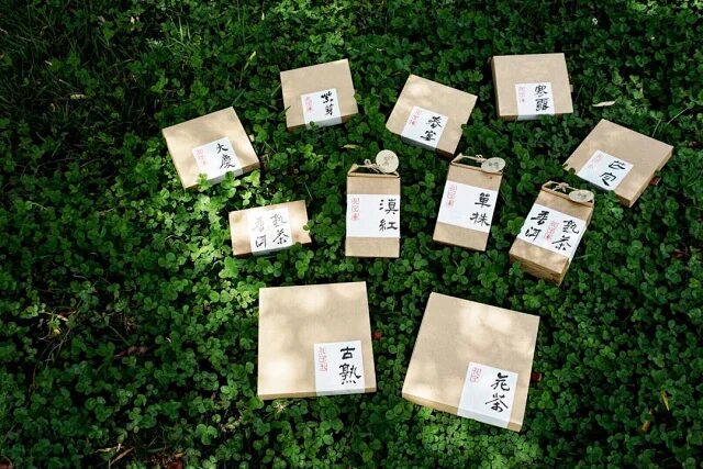 Another view of Daqing · Ancient-Tree Raw Pu’er