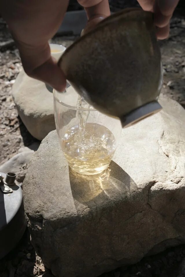 Another view of Xingshen · Forest Ancient-Tree Raw Pu’er