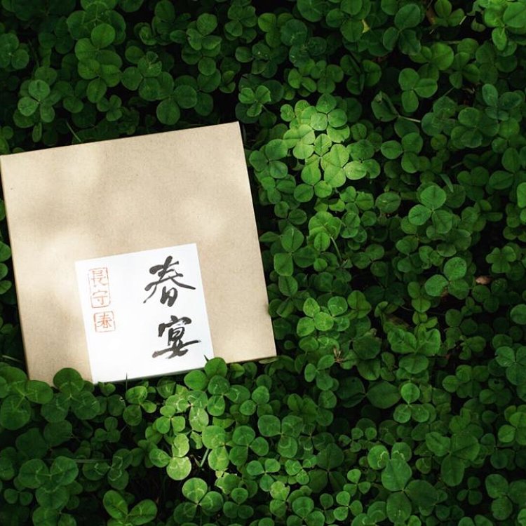 Chunyan · Ancient-Tree Raw Pu’er · Spring 2016