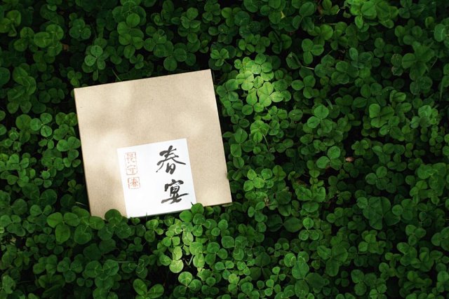Chunyan · Ancient-Tree Raw Pu’er · Spring 2016