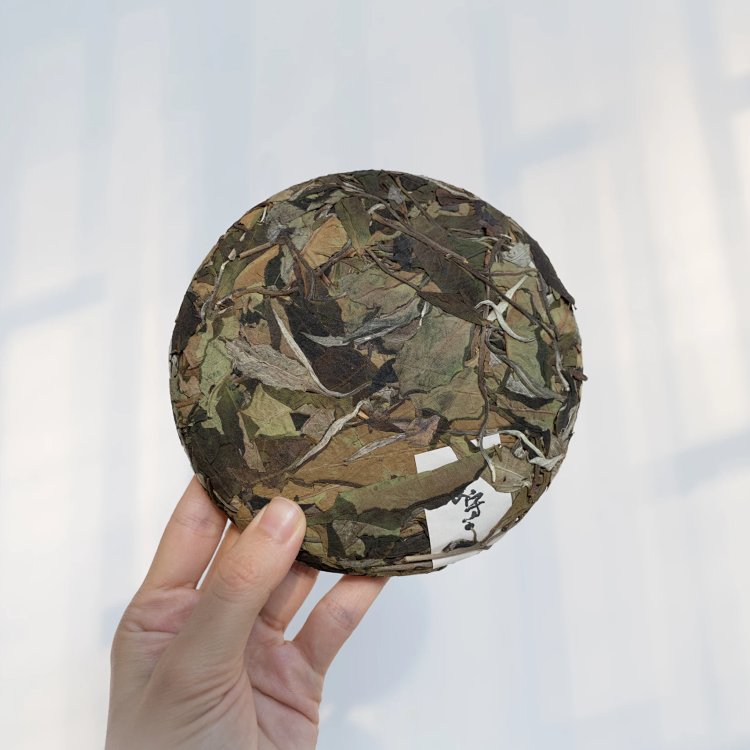 Cunqing · Ancient-Tree White Tea · Spring 2023